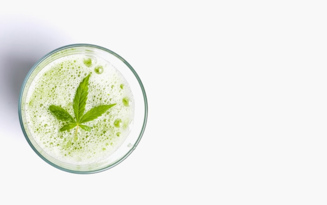 Hemp food & drink - Hemp Trade Market