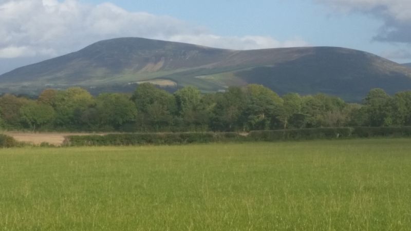 Hemp Farm Tours - CBD & Hemp Products | Hemp Trade Market