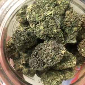 Kush flower  - CBD & Hemp Products | Hemp Trade Market