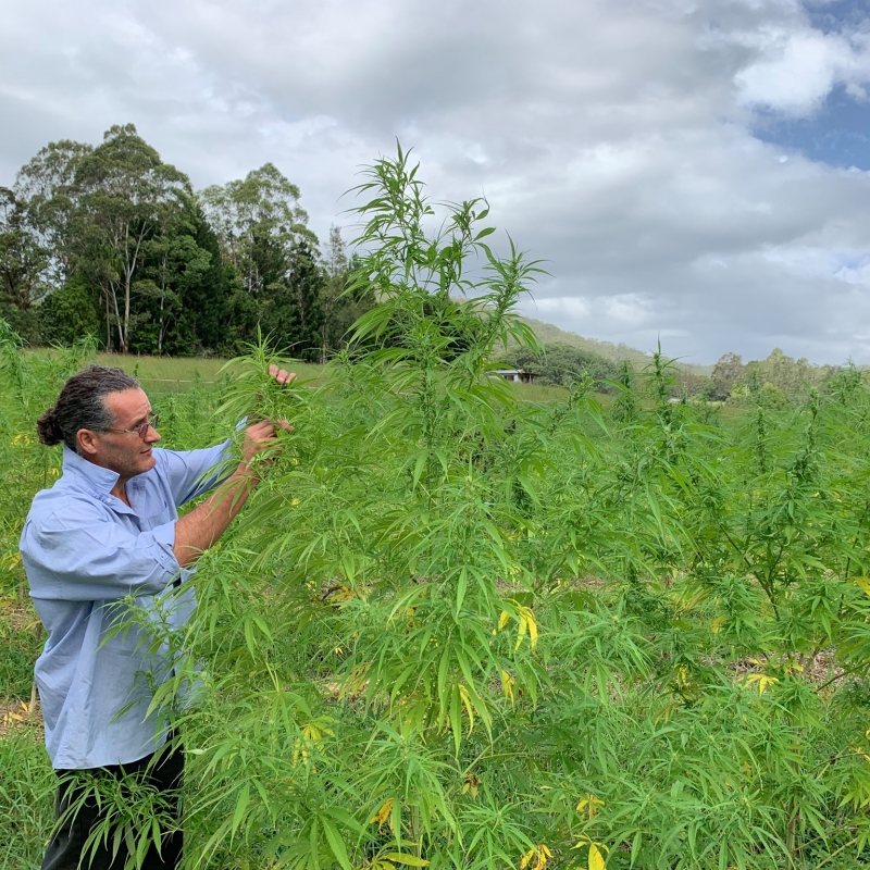 Biodynamic Full Spectrum Hemp Oil - CBD & Hemp Products | Hemp Trade Market