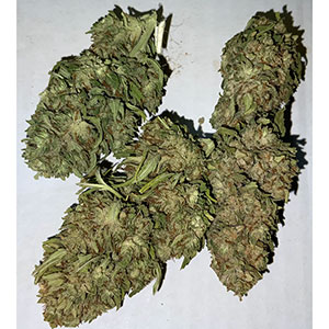 White CBG Machine Trimmed Flower - CBD & Hemp Products | Hemp Trade Market