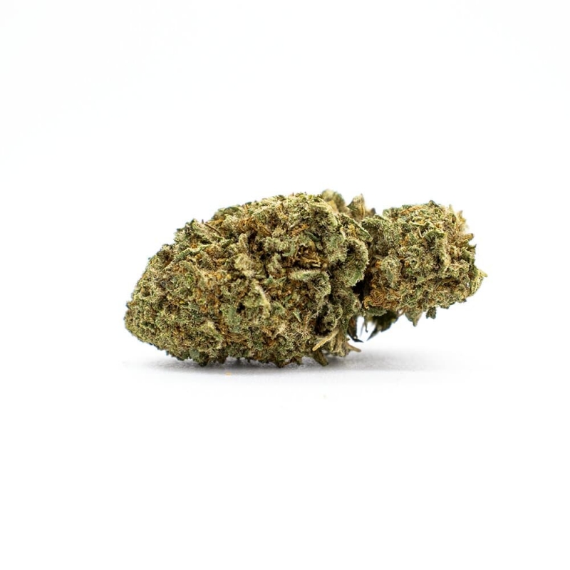 Kompolti Flower - Greenhouse + light - CBD & Hemp Products | Hemp Trade Market