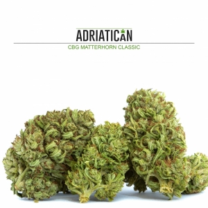 CBG Matterhorn Classic - CBD & Hemp Products | Hemp Trade Market