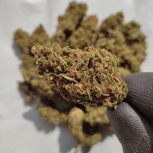 Rossana - CBD & Hemp Products | Hemp Trade Market