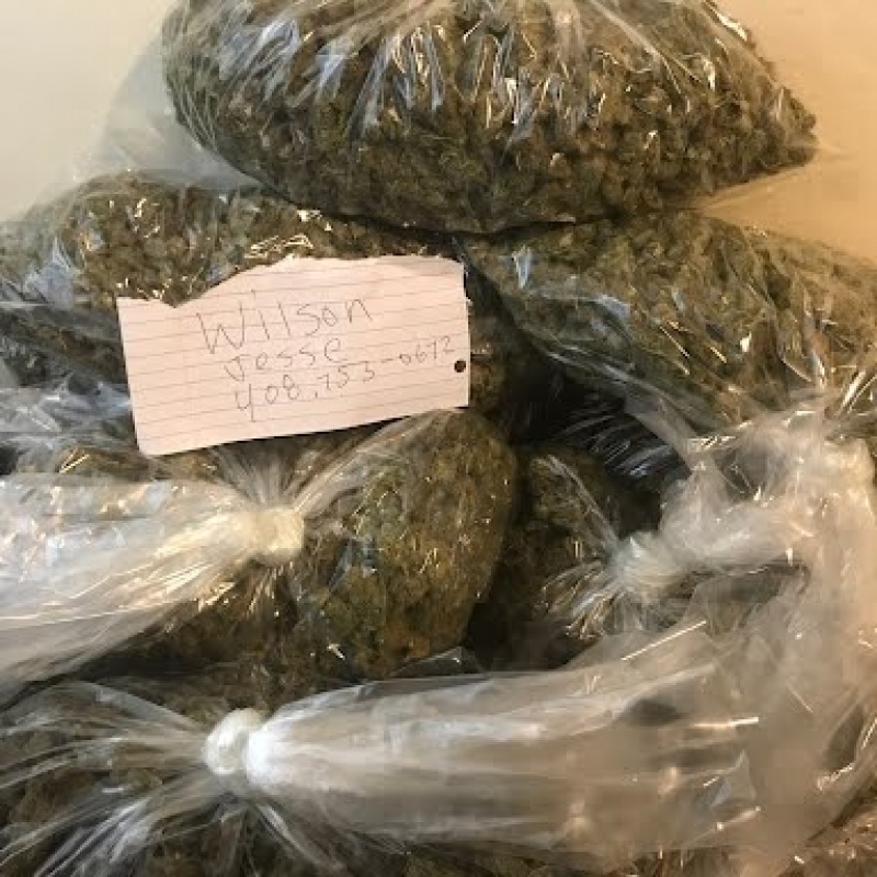 Less than 0.2% THC Hemp flowers - CBD & Hemp Products | Hemp Trade Market