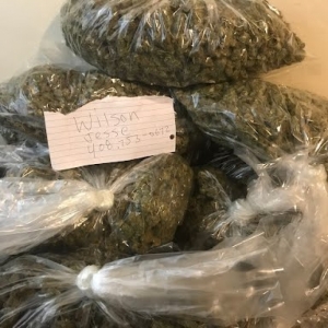 Less than 0.2% THC Hemp flowers - CBD & Hemp Products | Hemp Trade Market