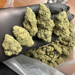 BLUEBERRY GELATO - GLASSHOUSE - CBD & Hemp Products | Hemp Trade Market